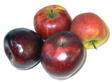 Vier-Äpfel.JPG